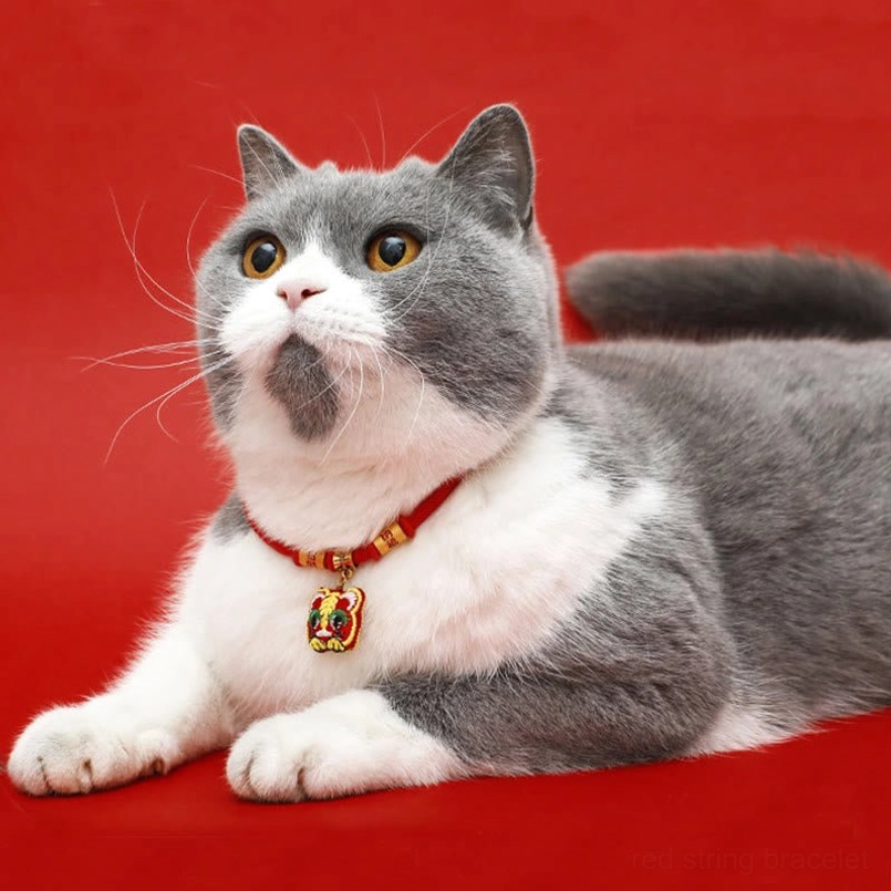Cat wearing festive red string pet collar with small enamel tiger charm