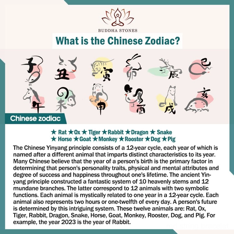 Complete 12 Chinese zodiac signs reference with animal icons and cultural information