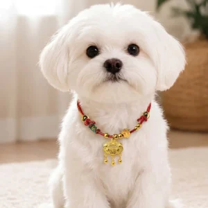 Red string lucky pet collar with ruyi lock charm worn on small dog, adorable festive look