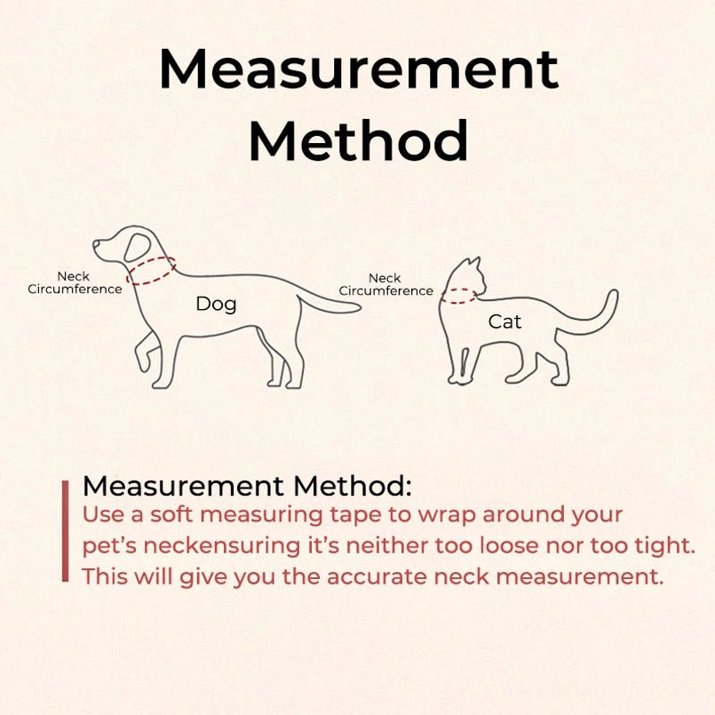 Pet collar sizing guide showing how to measure dog and cat neck circumference for proper fit