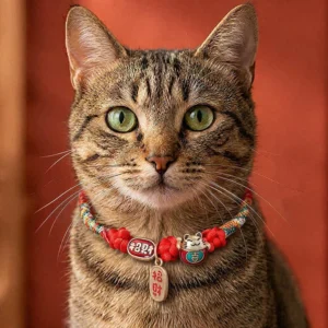 Red Fu character protection pet collar with lucky cat charm worn on tabby cat
