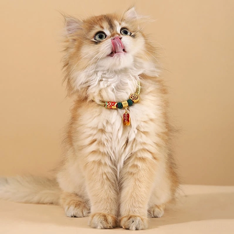 Long-haired cat wearing red string blessing collar with metal charm