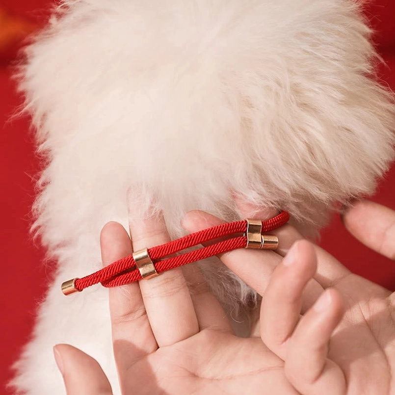 Red string pet collar fitting demonstration on white pet fur
