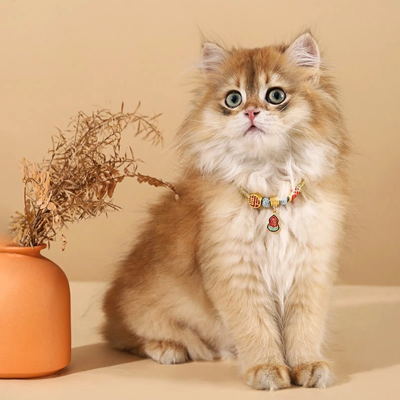 Handmade red string pet collar with traditional Chinese Fu blessing pendant