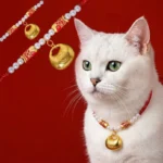 Red string koi fish pet collar with Fu fortune charm on white cat, festive red background