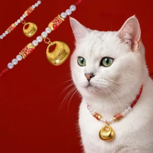 Red string koi fish pet collar with Fu fortune charm on white cat, festive red background