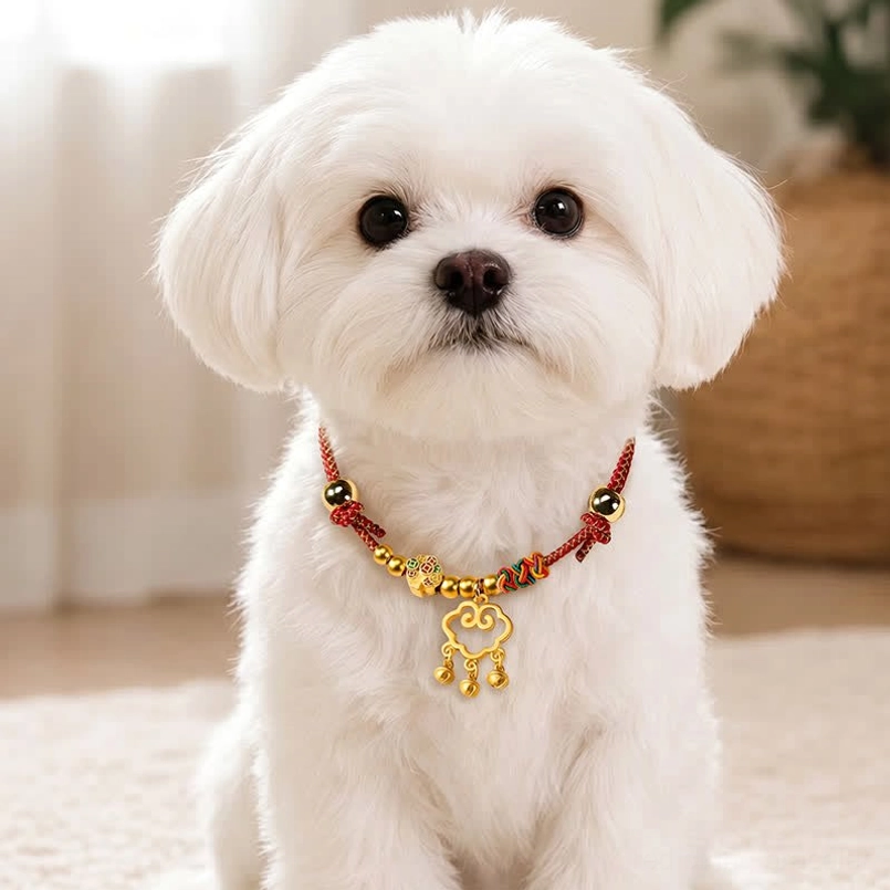 Red string lucky pet collar with auspicious clouds charm worn on adorable puppy