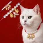 Red string pearl lucky cat fish tail pet collar front view with golden charms on solid background