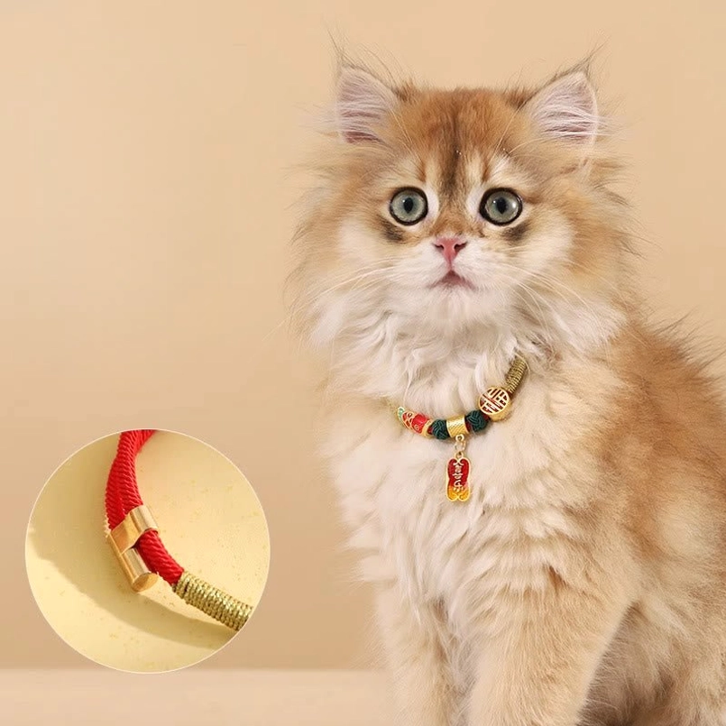 Red string pet collar worn on tabby cat with close-up clasp detail