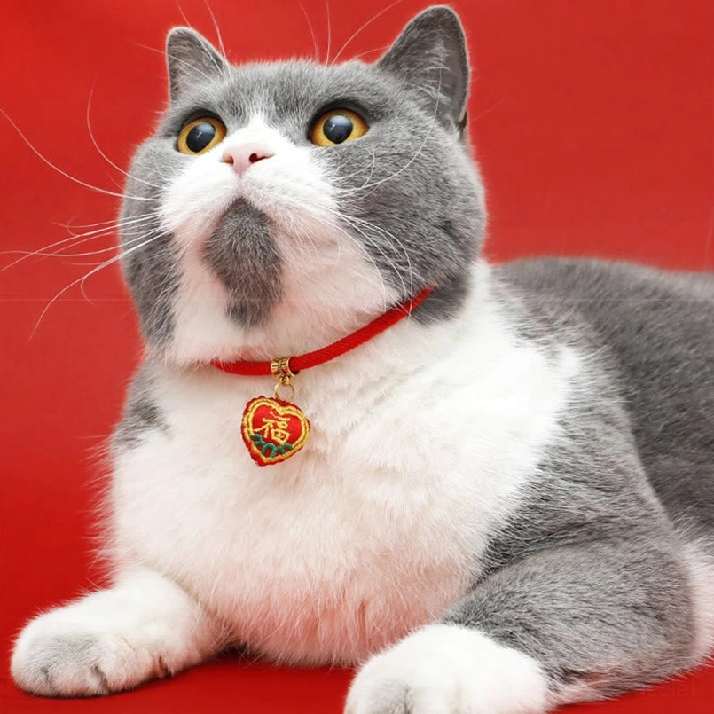 Red string protection pet collar with multiple charm design options displayed