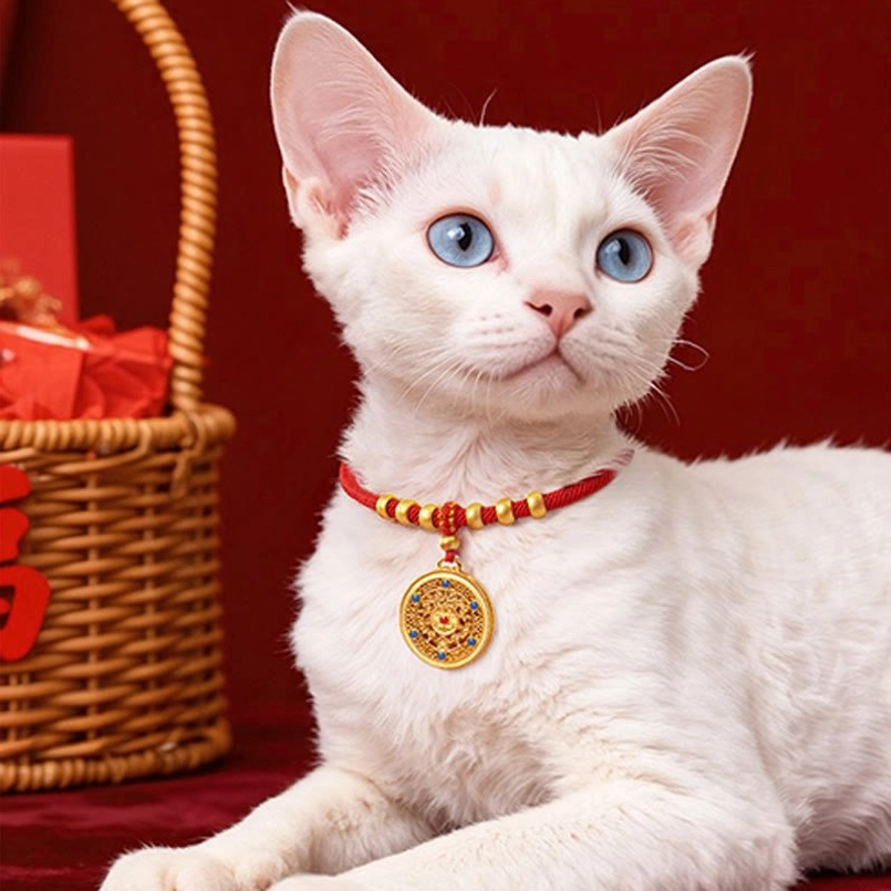 Handcrafted red rope pet collar with five directions gods of wealth ornamental pendant