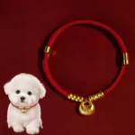 Red string pet collar with gold bell charm, adjustable design for cats and small dogs