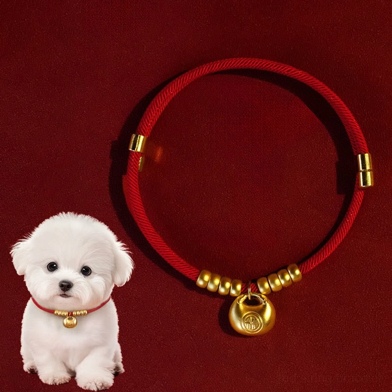 Red string pet collar with gold bell charm, adjustable design for cats and small dogs