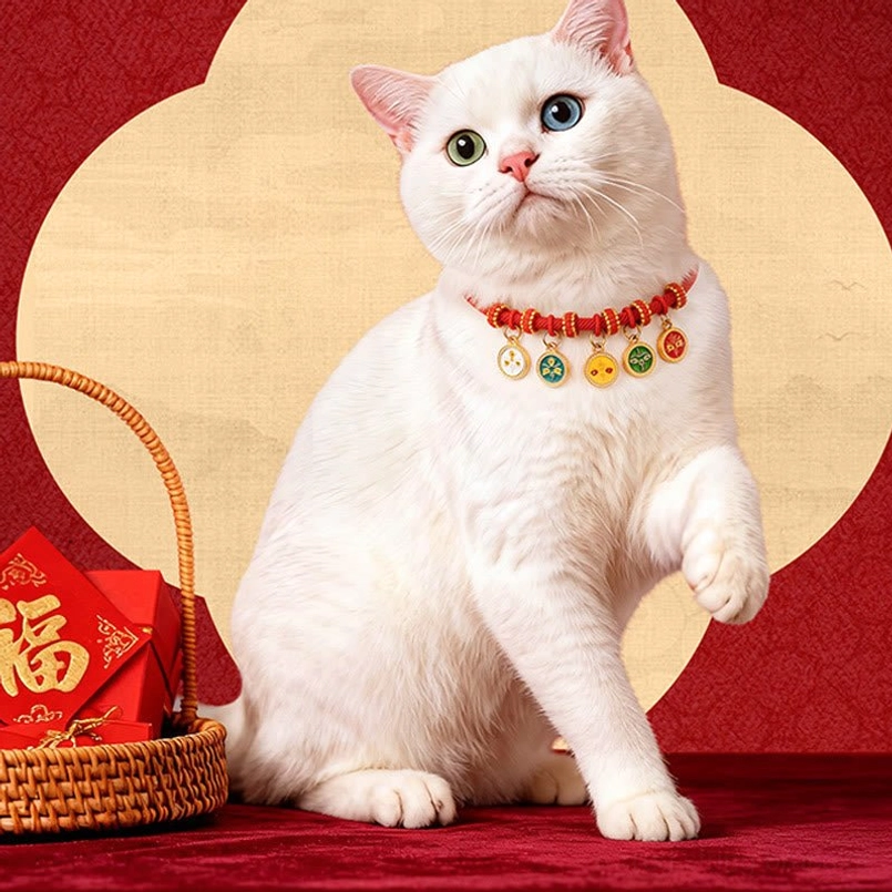 Handmade red string pet collar with gourd and paw protection charms gold accents