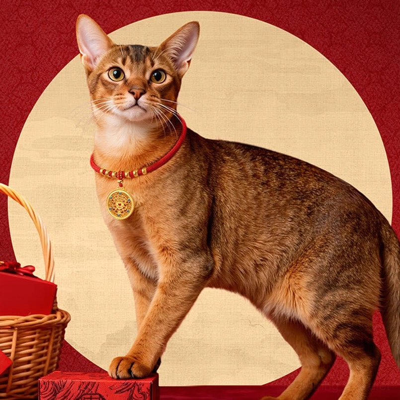 Red string adjustable pet collar with multiple gold charm pendants and decorative elements