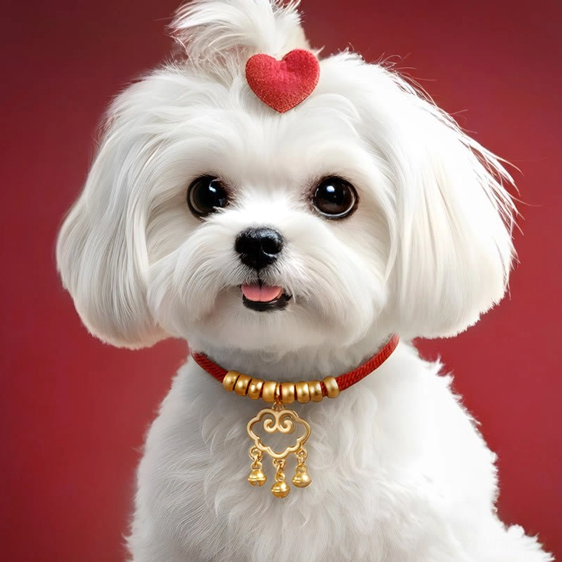 Cute puppy wearing blessed red string protection collar with gold lock and beads