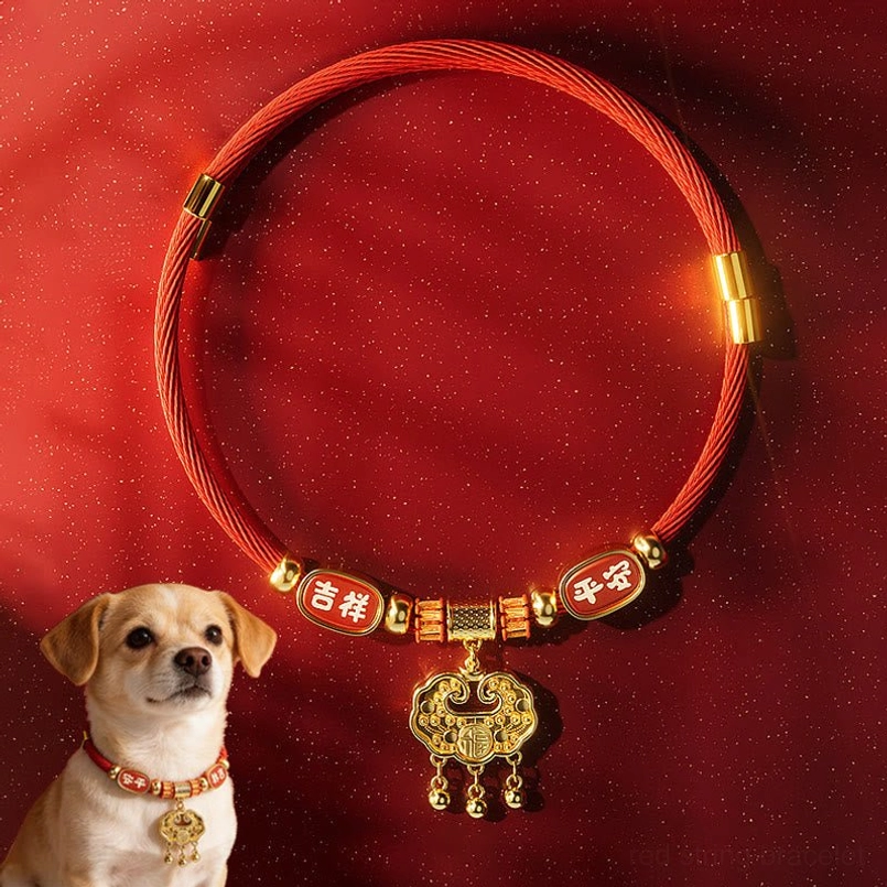 Small puppy dog wearing red lucky pet collar with gold fu character and prosperity charms