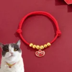 Red string pet collar with copper coin yuanbao charm, shown on cat model with gold beads and adjustable knot