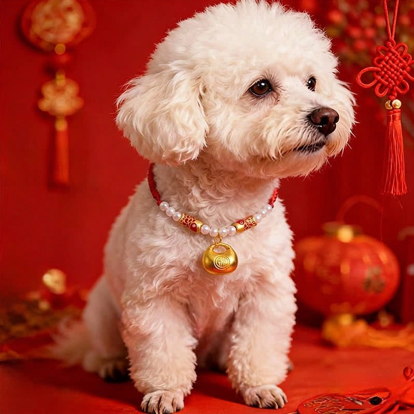White puppy wearing handmade red lucky collar with koi and Fu charm, festive setting